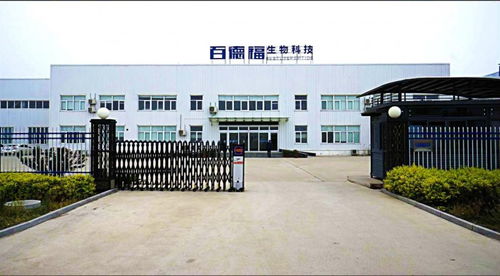 百德福榮獲2026第十三屆品牌影響力發展大會兩項殊榮，技術服務能力再獲權威認可